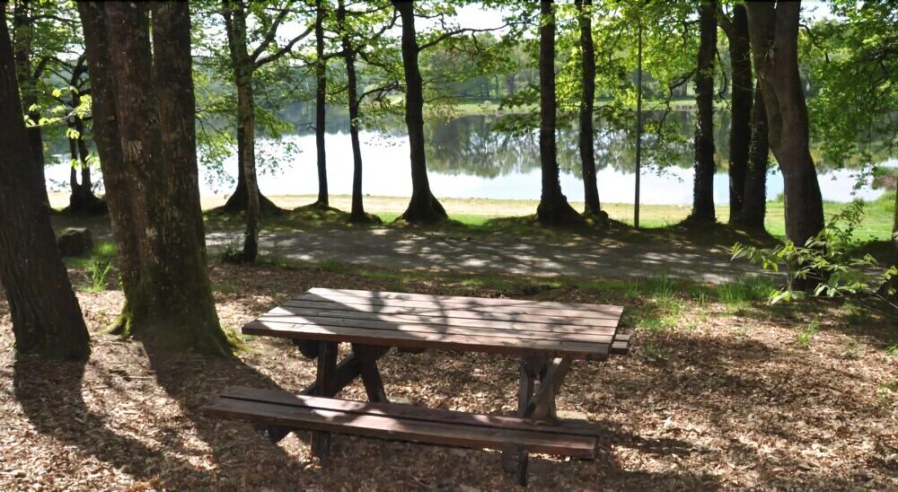 Holiday park Terres De France - Le Domaine Du Moulin Neuf 3*